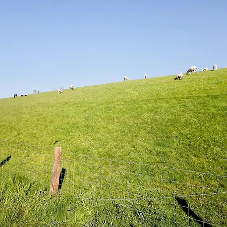 Hoern 1 * Nordstrand