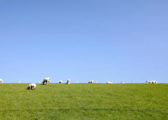 Hoern 1 Appartamento